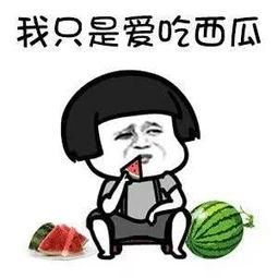 娱乐吃瓜的本质 第1张 娱乐吃瓜的本质 第1张